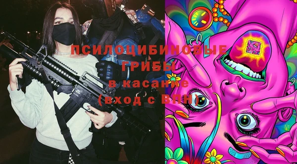 спиды Магадан