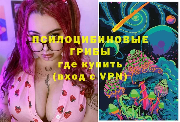 a pvp Медногорск